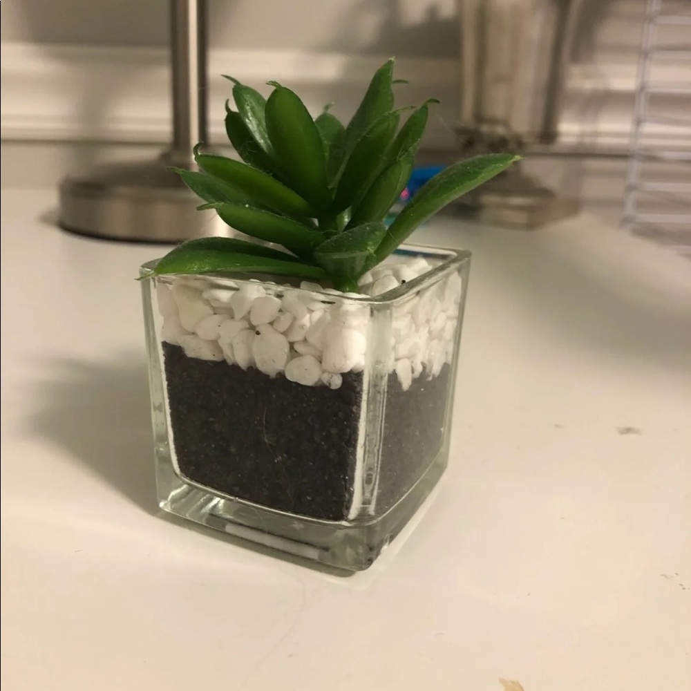 Fake succulent